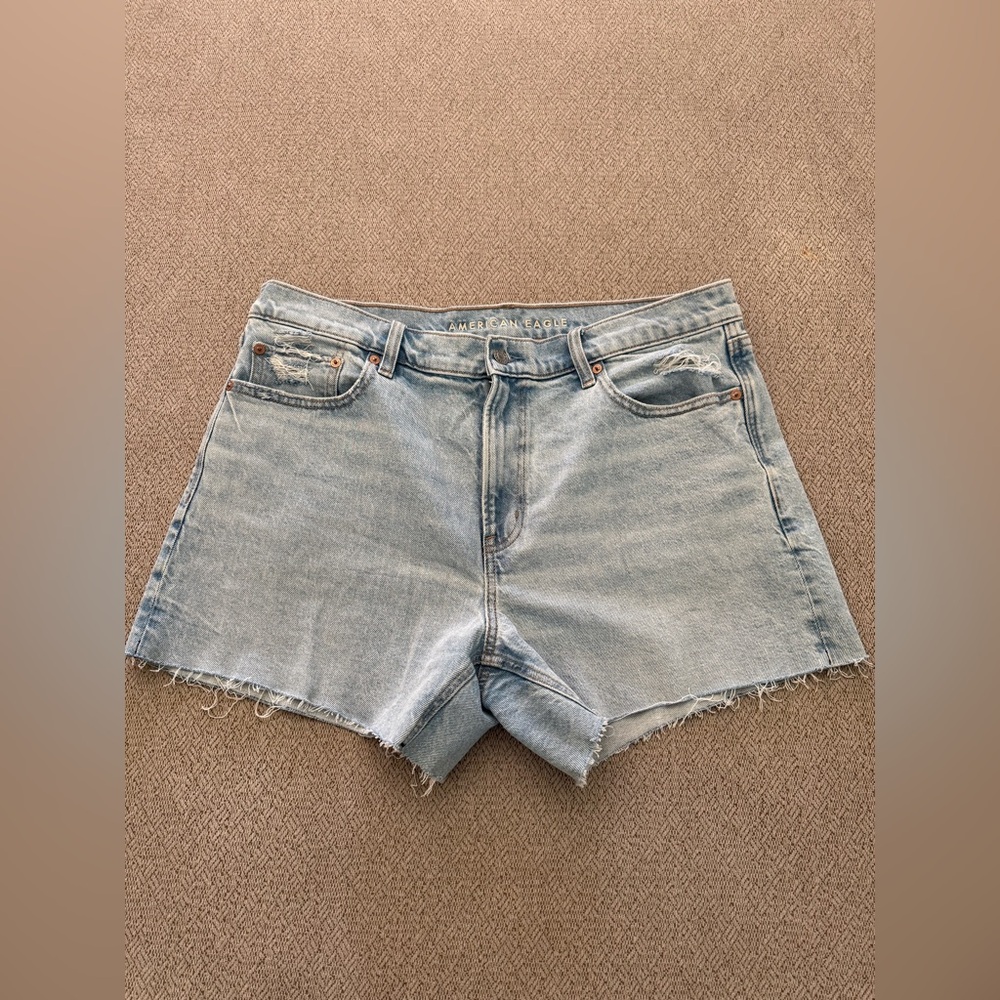 American Eagle Outfitters Light Blue Denim Ex-Boyfriend Shorts
